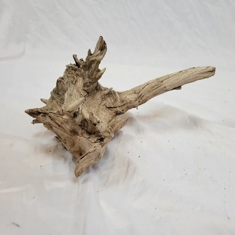 Ohio River Driftwood 13